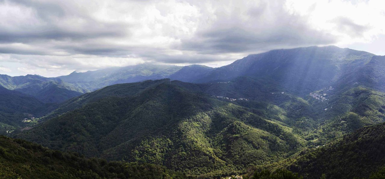 Castagniccia, Corse