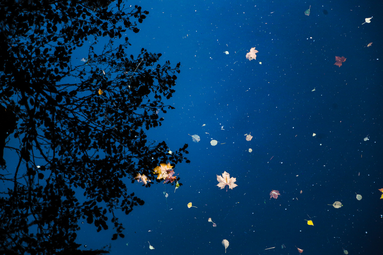 Ciel de nuit, Corse