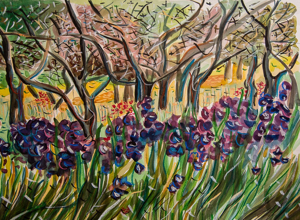 Iris, aquarelle sur papier, 40 x 60