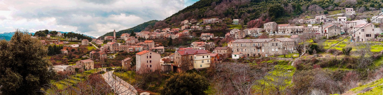 Levie, vue générale