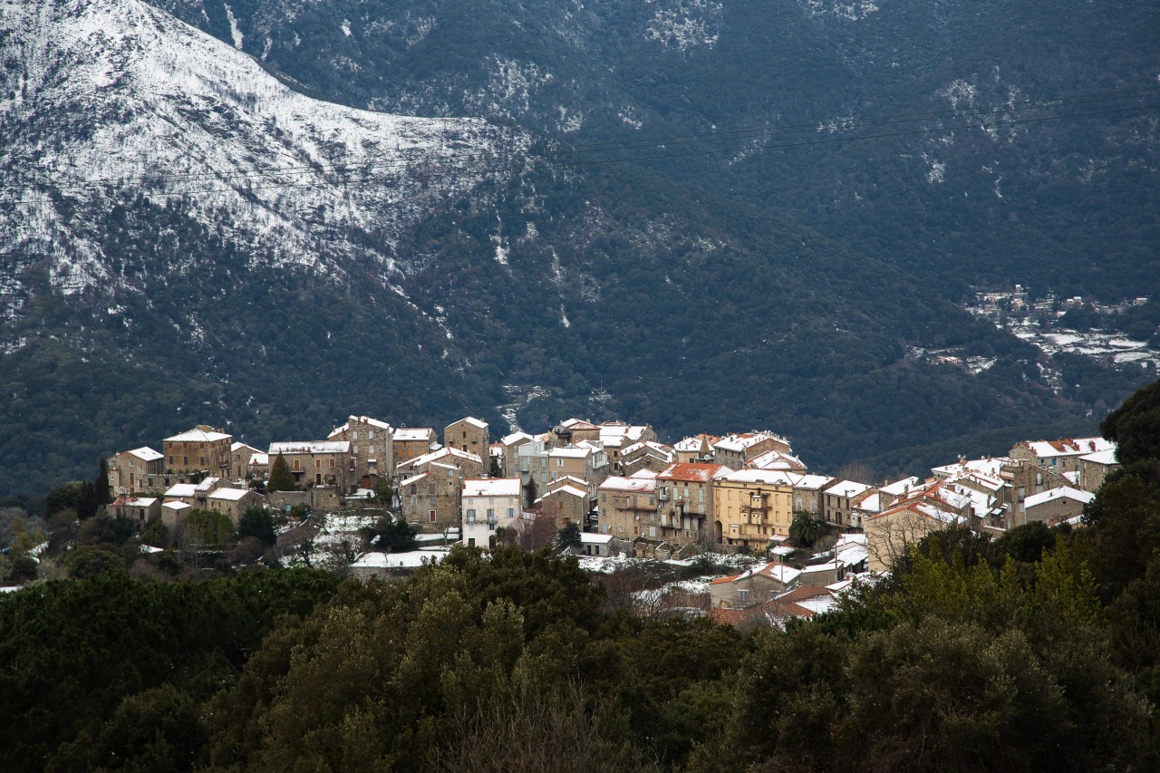 Tallà, Corse